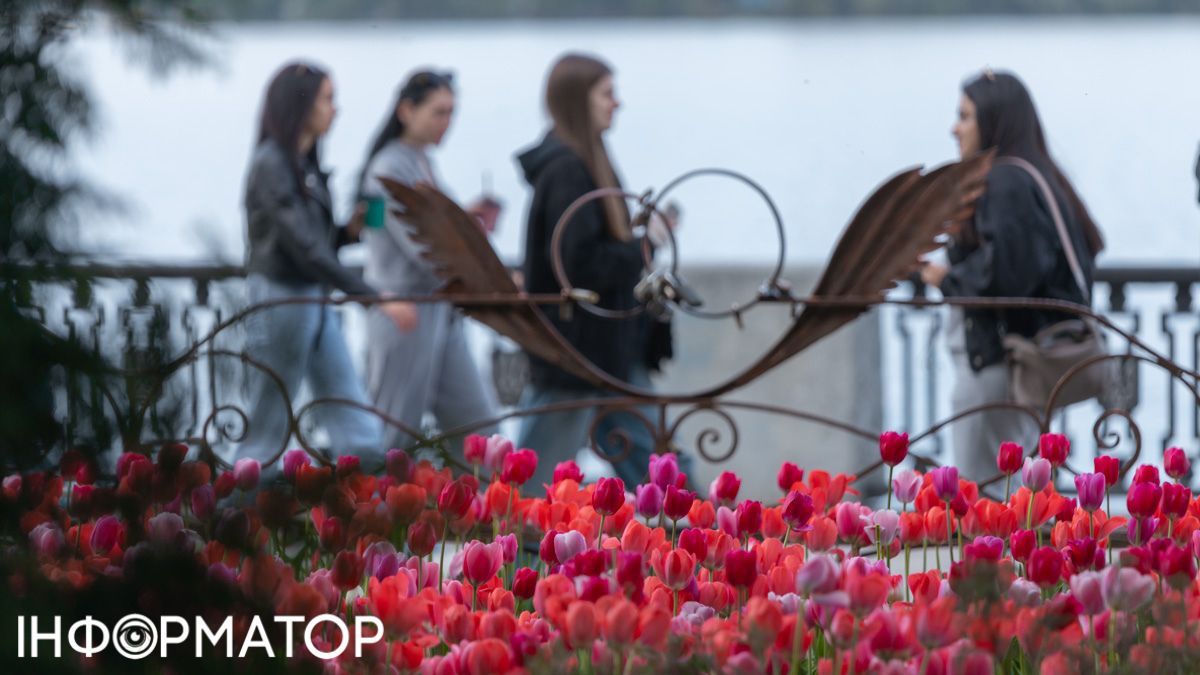 Вартість навчання у вишах зростатиме: у МОН кивають на професорські зарплати