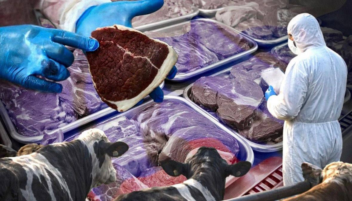 Боротьба з ящуром в РФ: дрібних фермерів нищать, а вилучене мʼясо тварин іде на фронт та окуповані території