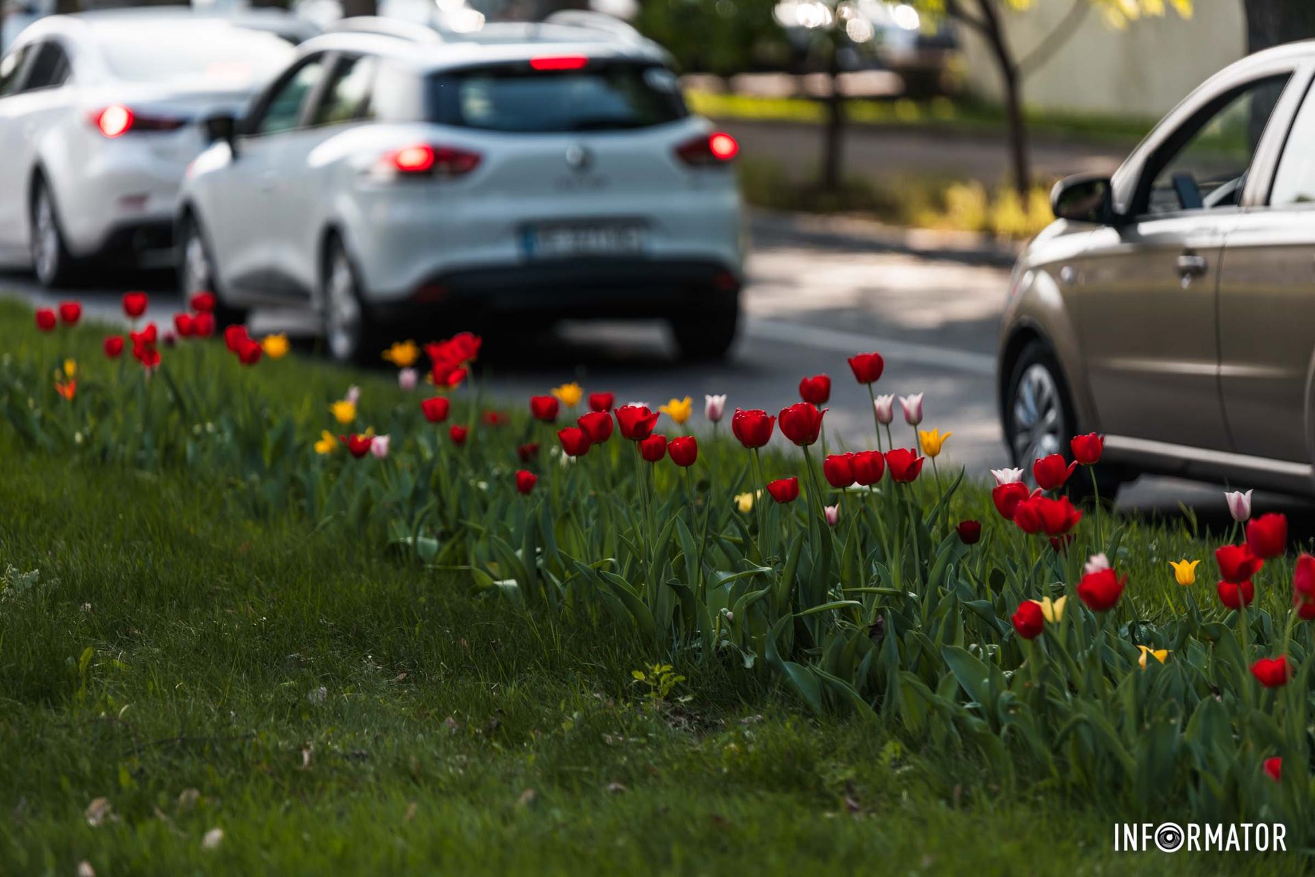 Автомобілі Фото: Інформатор Автомобілі Фото: Інформатор