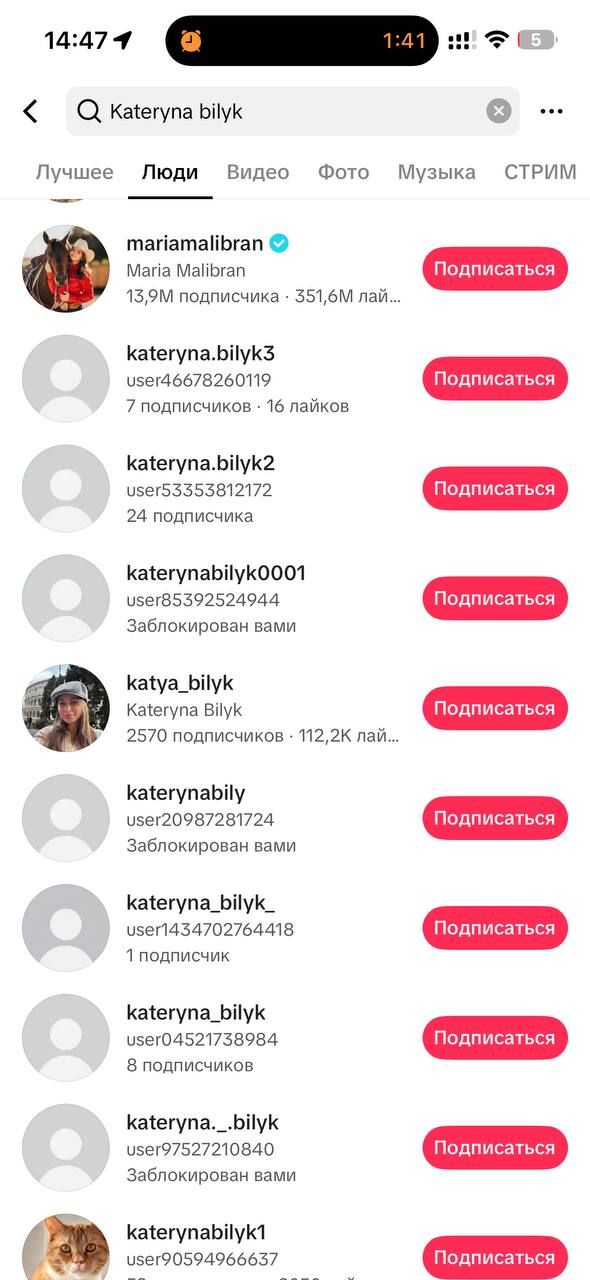 Екатерина Билык, фейковые аккаунты.