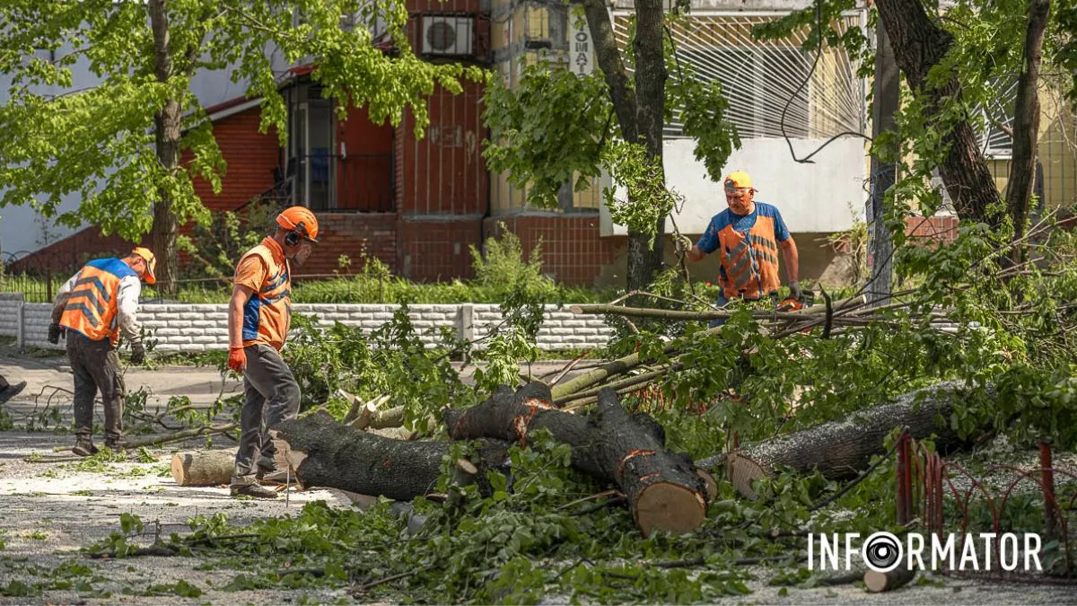Армія відновлення: чи є там мобілізація і яка зарплата, пояснює Держслужба зайнятості