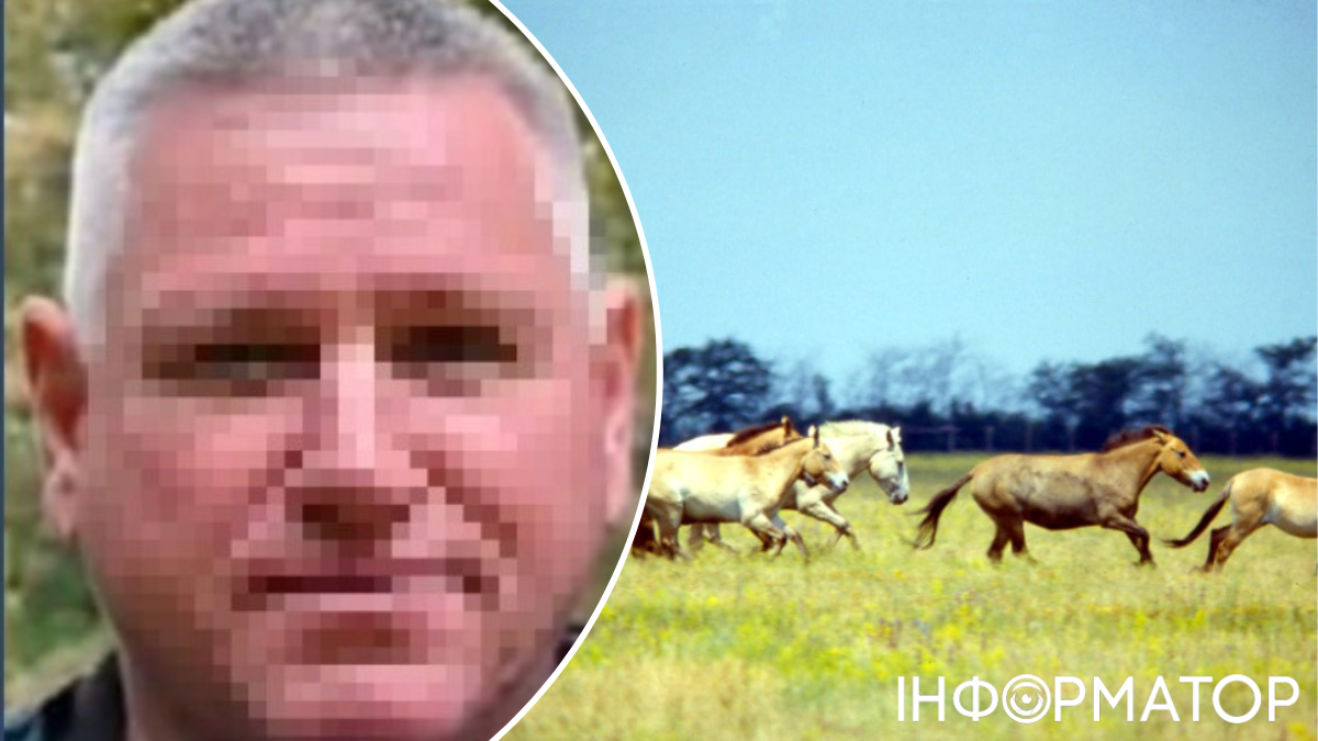 оккупационный директор