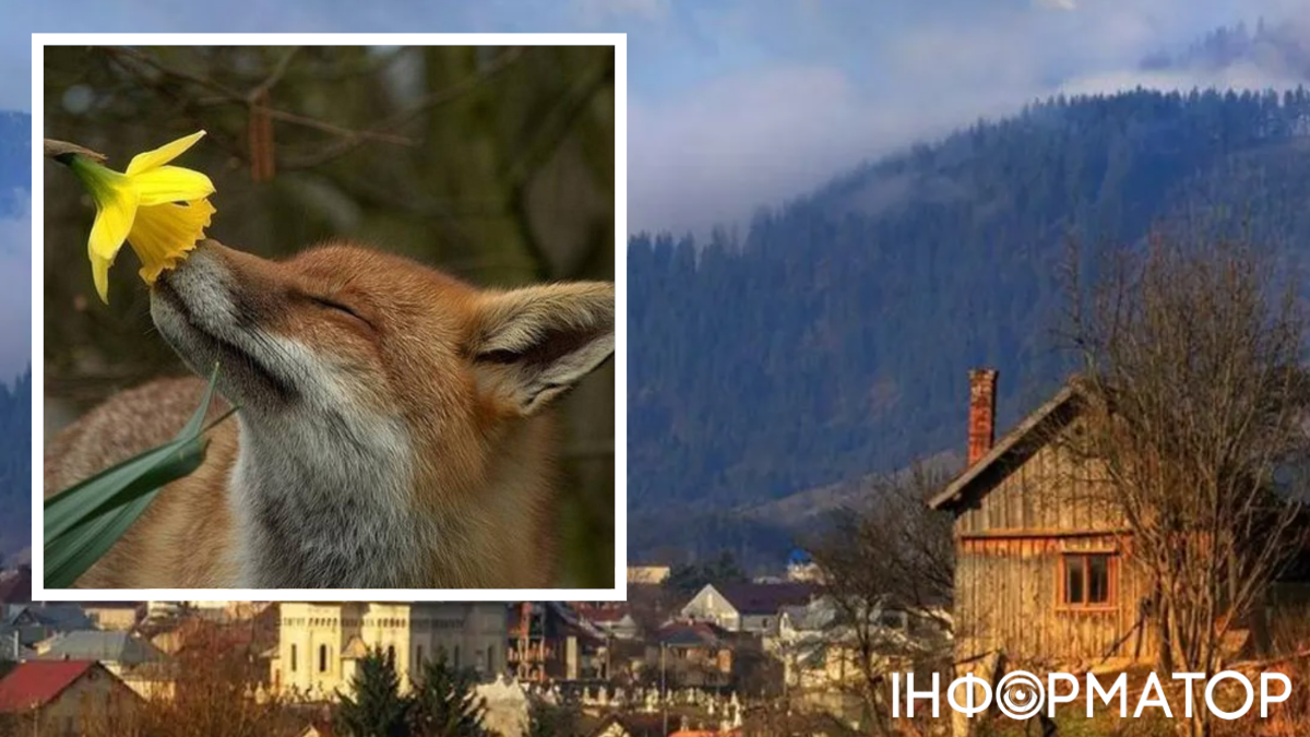 Терпеть похолодание осталось недолго – прогноз погоды на 13 апреля