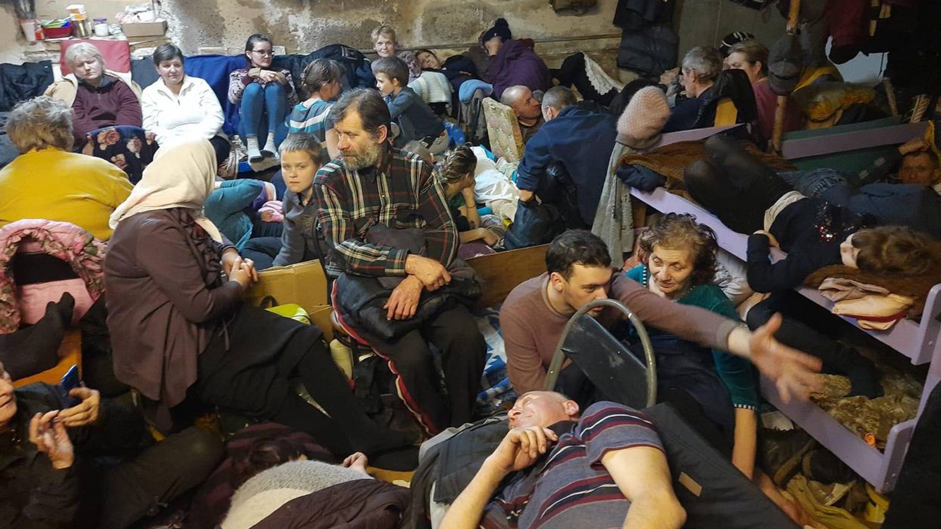 Котовник в Ягодном