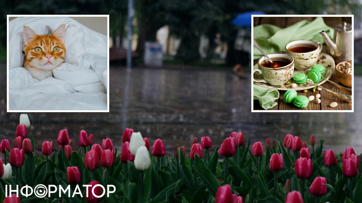 Даже возможен мокрый снег – прогноз погоды на 20 апреля