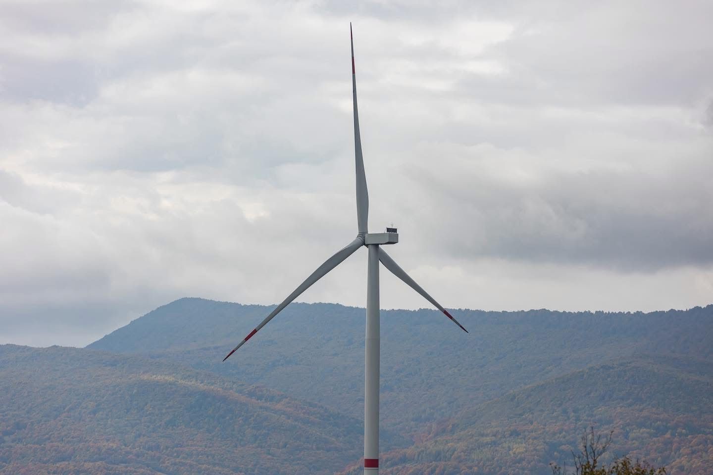 Вітровий потенціал Закарпаття: що допоможе Україні підсилити енергосистему