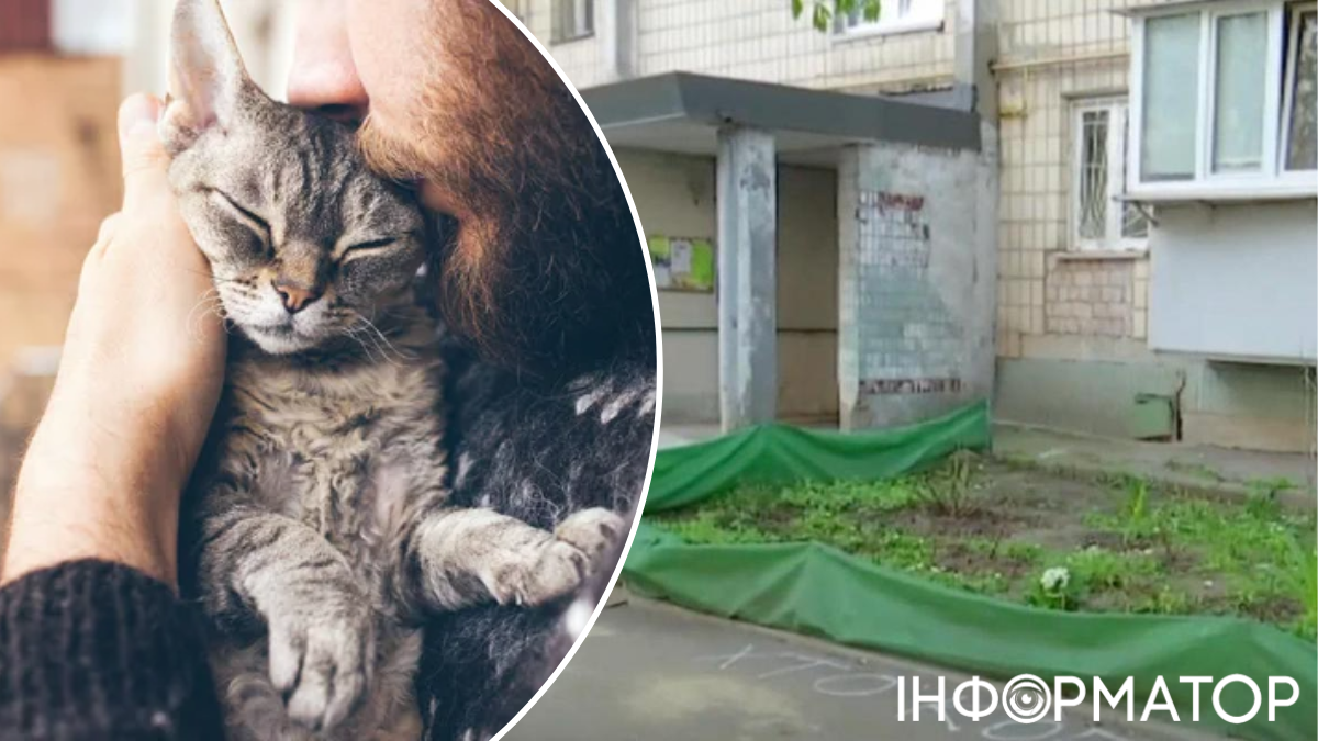 Дворник с котом, подъезд в Киеве, где началась стрельба