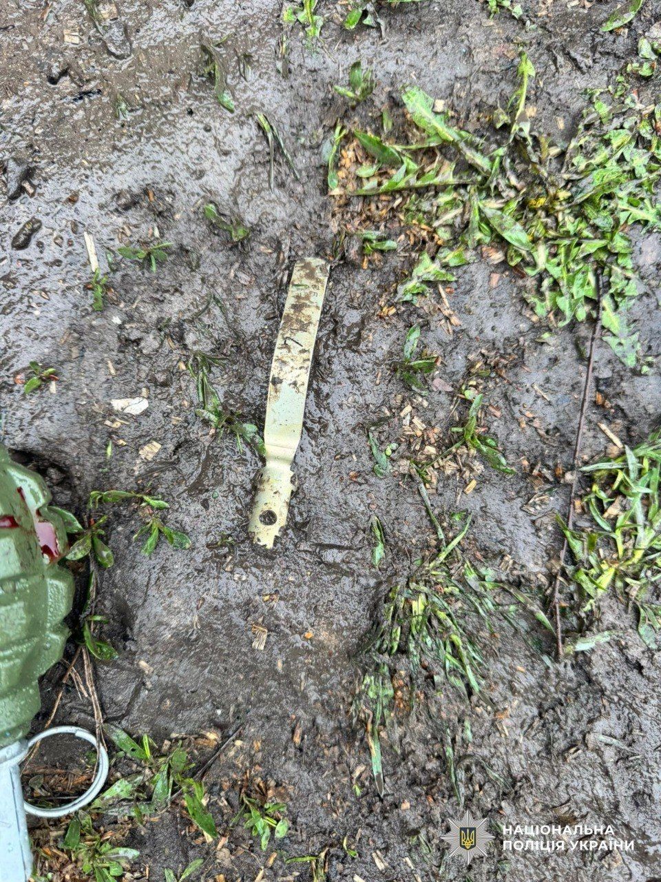 На Днепропетровщине подвыпивший мужчина забросал гранатами полицию: есть раненые правоохранители 2