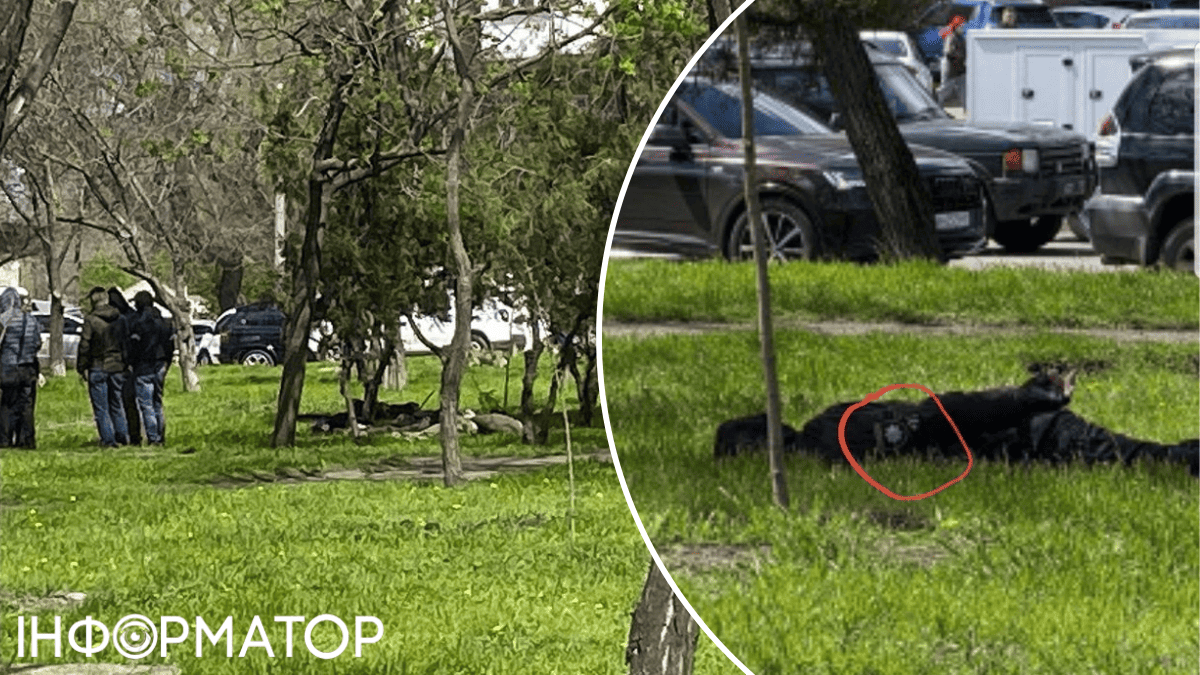 Стрілянина та погоня за ТЦК в Одесі 21 квітня