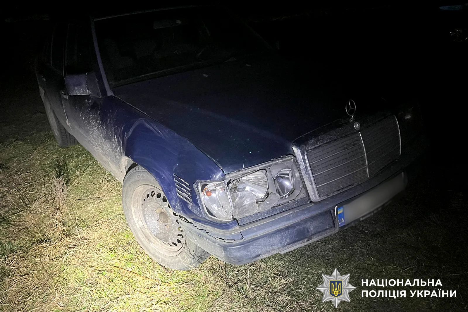 Мерседес збив оленя Бориса