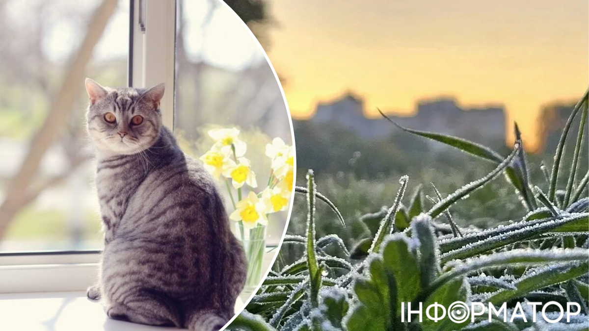 Украина оказалась в мешке и рискует попасть в антипятерку последних 30 лет – прогноз погоды на 28 апреля