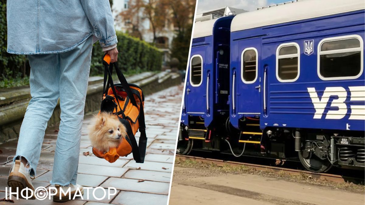 Из-за ошибки проводницы пассажир с собакой не успел на поезд — реакция Укрзалізниці