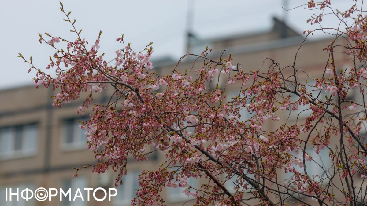 Получили наследство – платите налог