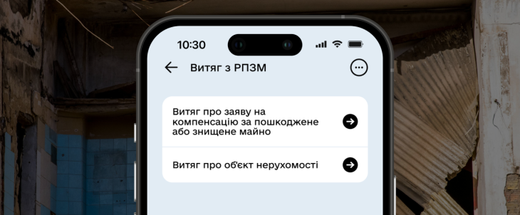 Выдержка из Реестра поврежденного и уничтоженного имущества Фото: Минцифра