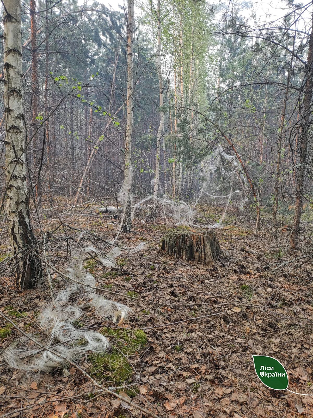 Черниговщина обстрелы пожар