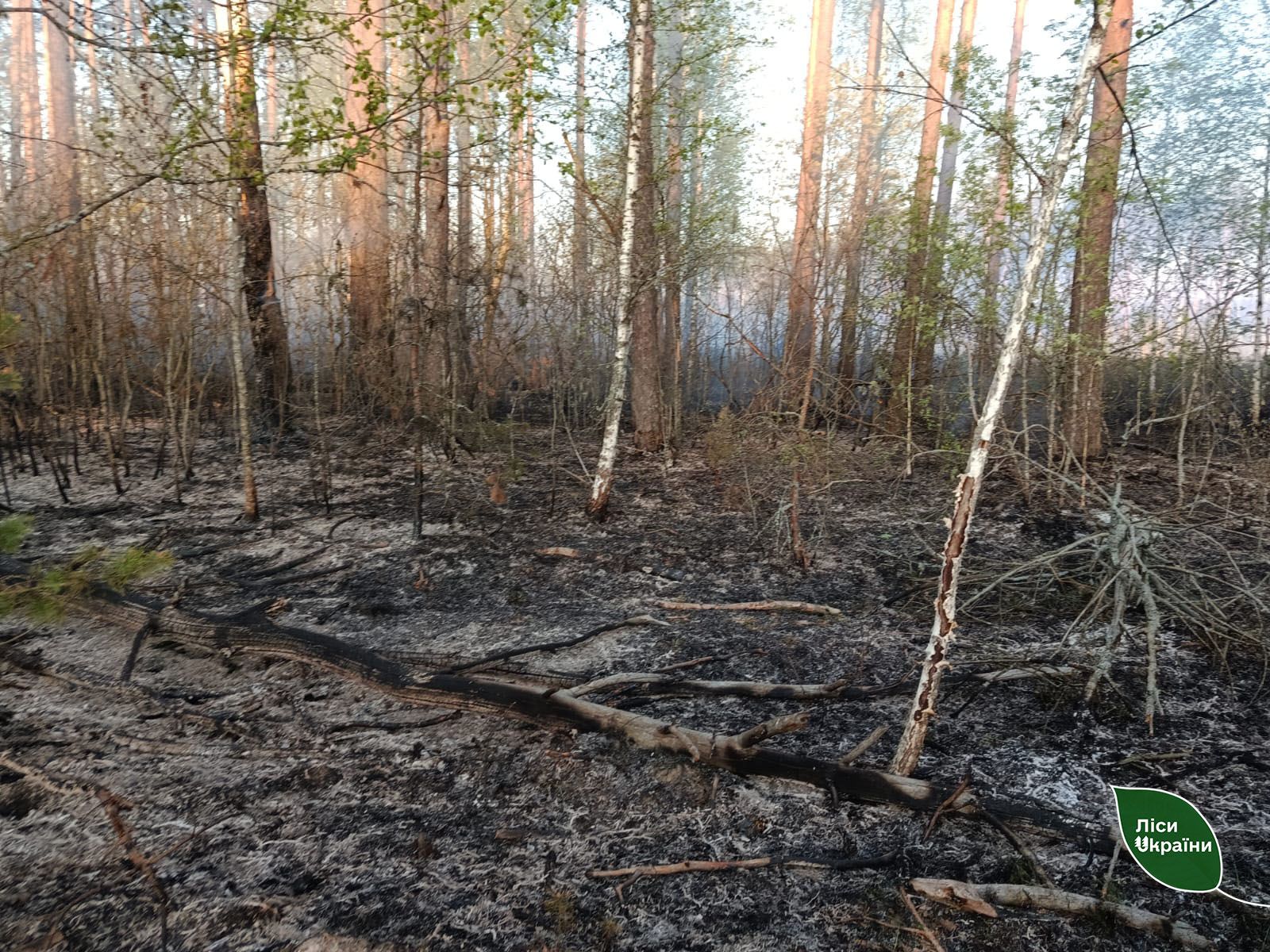пожар черниговщина обстрелы
