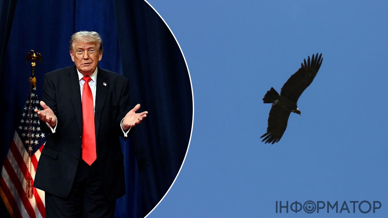 Трамп сплутав звичайну пташку з дроном та розсмішив публіку своїм переляком