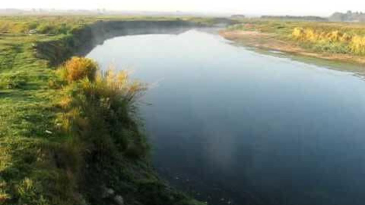 Луцькводоканал заплатить 8,2 млн грн за дохлу рибу в річці Стир - рішення суду