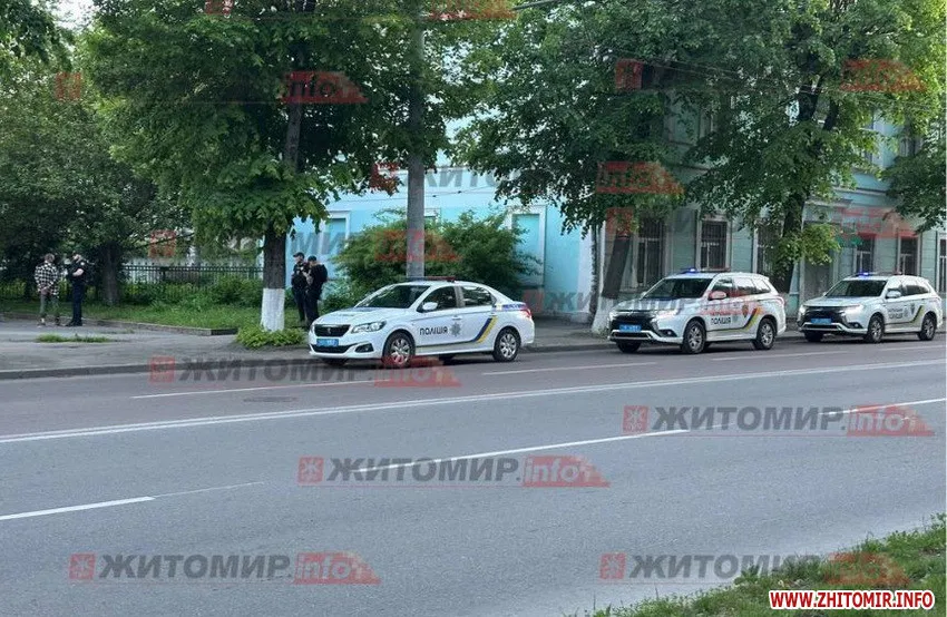 Житомир різанина сзч