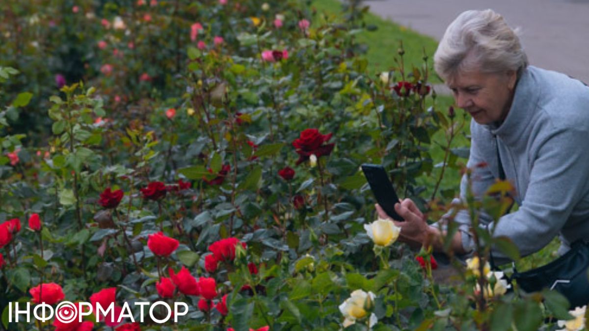Фейкові надбавки від "Пенсійного фонду" - нова шахрайська схема у Telegram