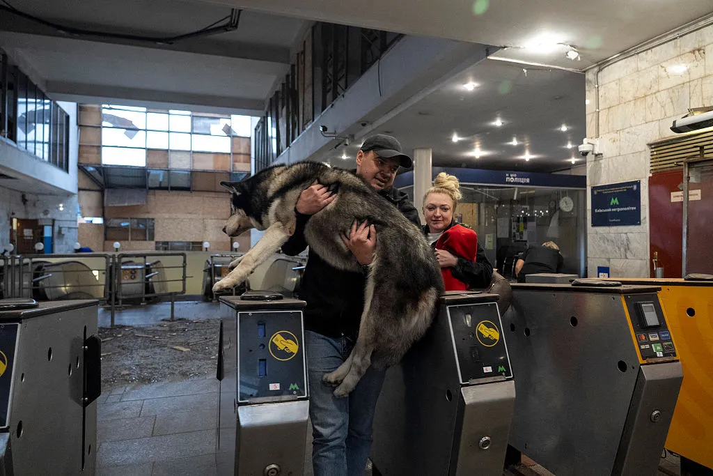 Чоловік несе собаку на пошкодженій станції метро після російського нападу в Києві Чоловік несе собаку на пошкодженій станції метро після російського нападу в Києві