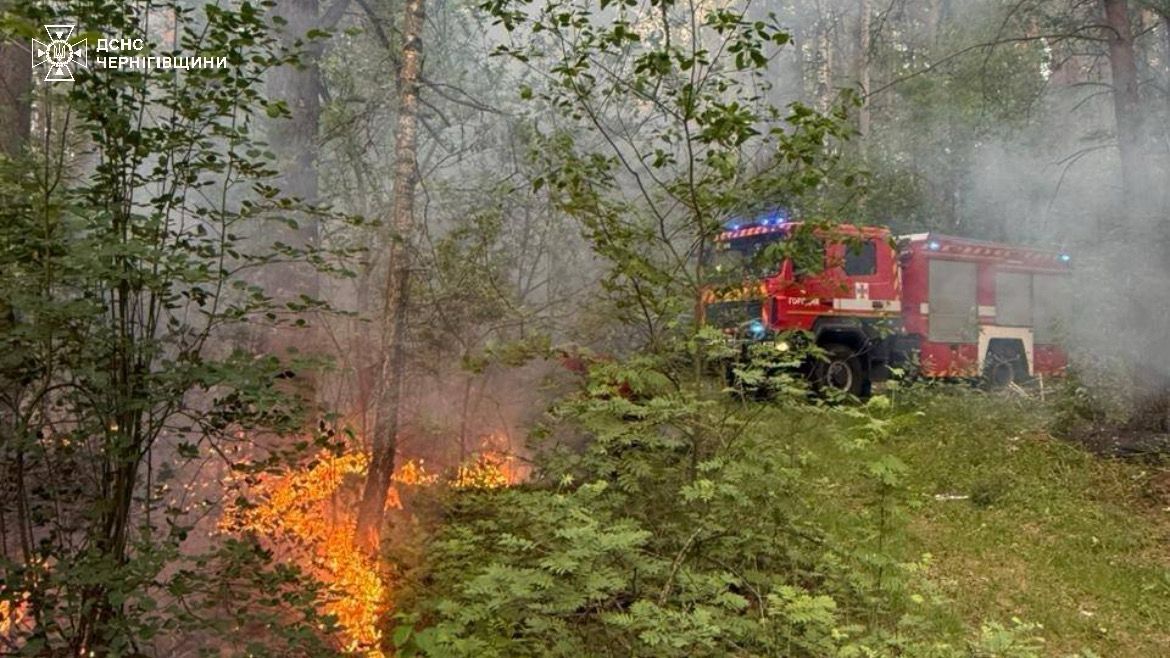 Дроны РФ угрожают масштабными пожарами экосистем