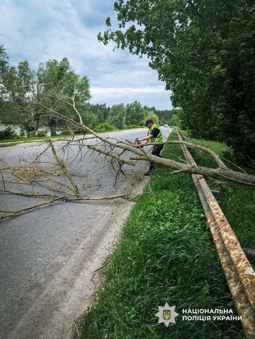 Поліцейський звільнив дорогу від дерева, що перегородило дорогу Поліцейський звільнив дорогу від дерева, що перегородило дорогу