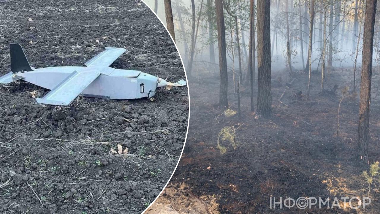 Російський дрон, ліс