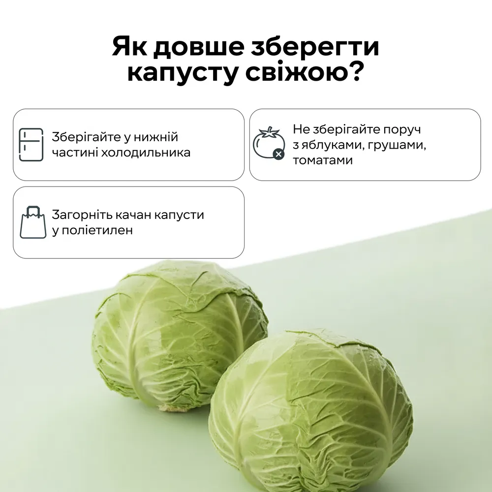 Молодая капуста Фото: Сельпо