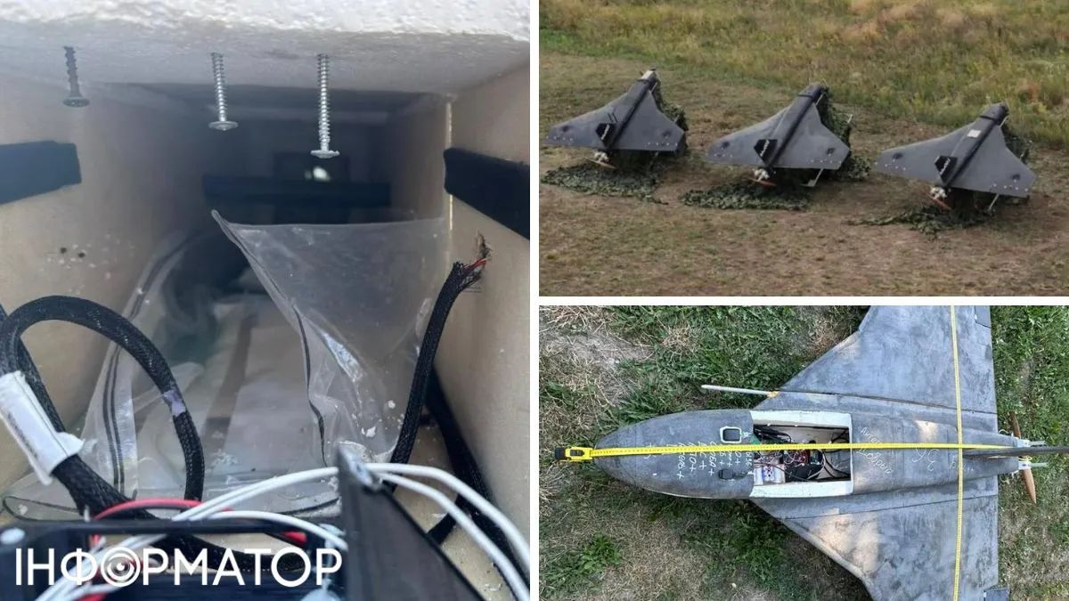 Збита в Україні ворожа Гербера Збита в Україні ворожа Гербера