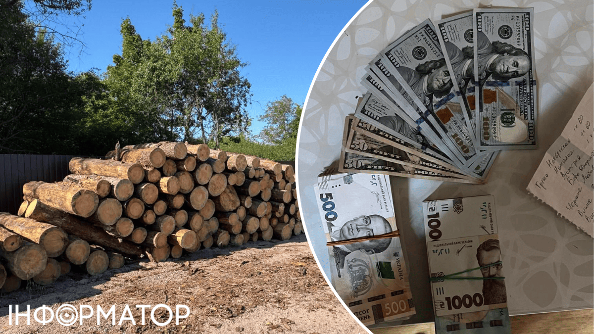 лісництво деревина корупція