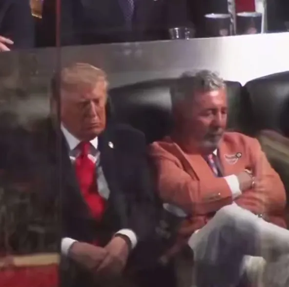 Трамп Трамп