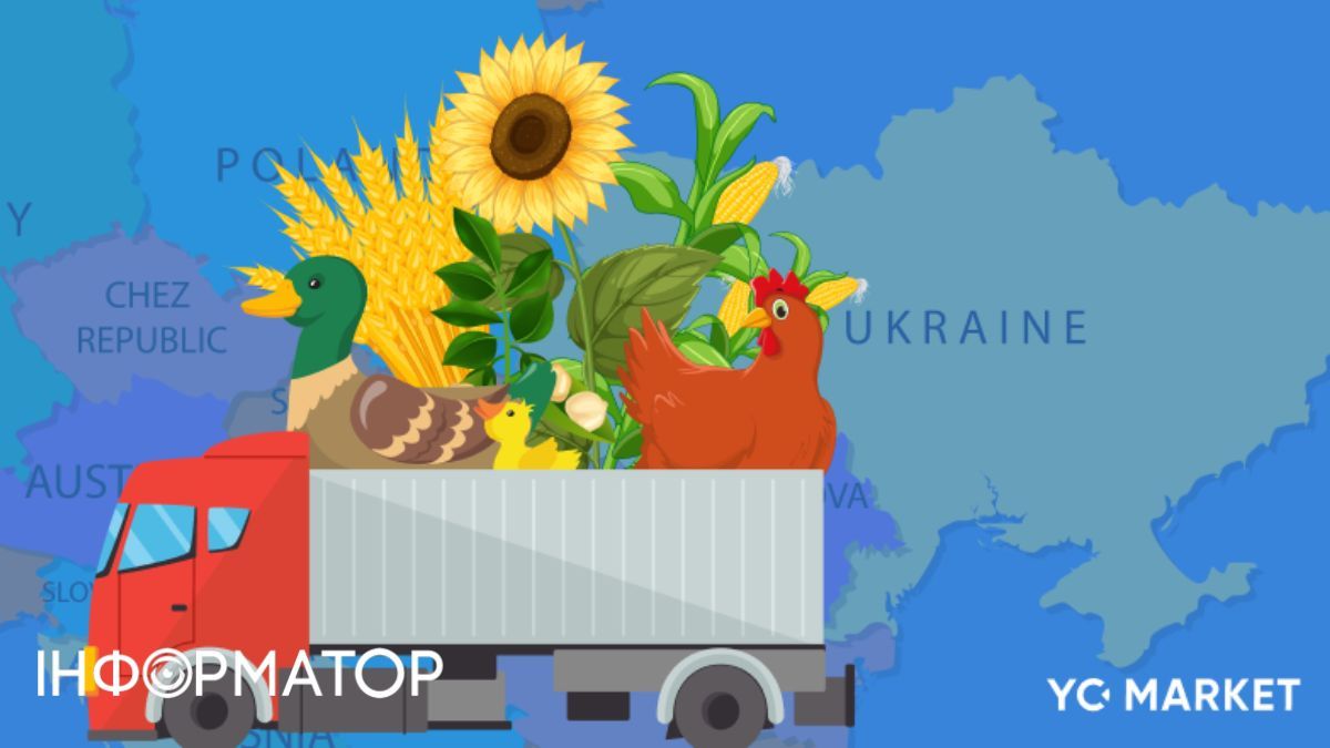 Від кукурудзи до курятини - хто формує український агроекспорт вартістю 22,5 млрд доларів