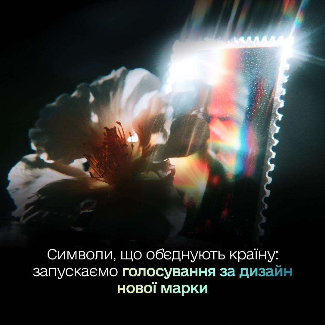 Голосування в Дії Фото: Мінцифри