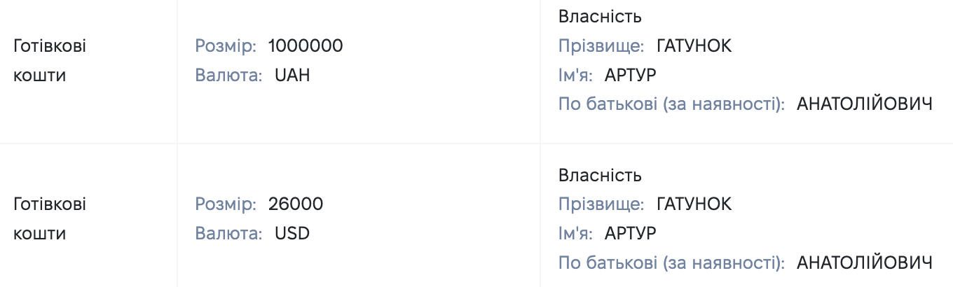 Скріни з декларації Гатунка за 2019 рік Скріни з декларації Гатунка за 2019 рік