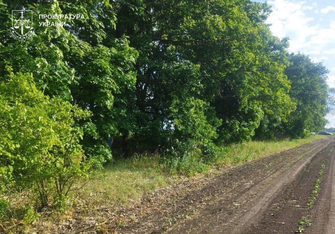 Муж вывез ребенка в лесополосу и убил