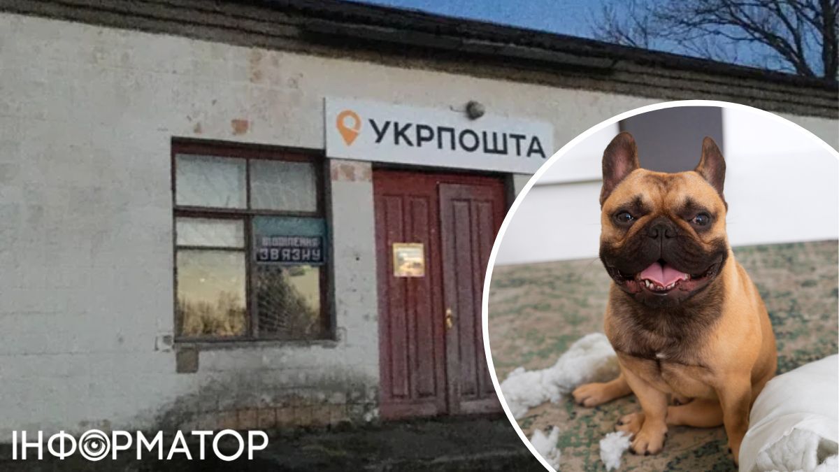Поштарка Укрпошти відмовилася носити пенсію та погрожує отруїти собак - як діяти у таких ситуаціях