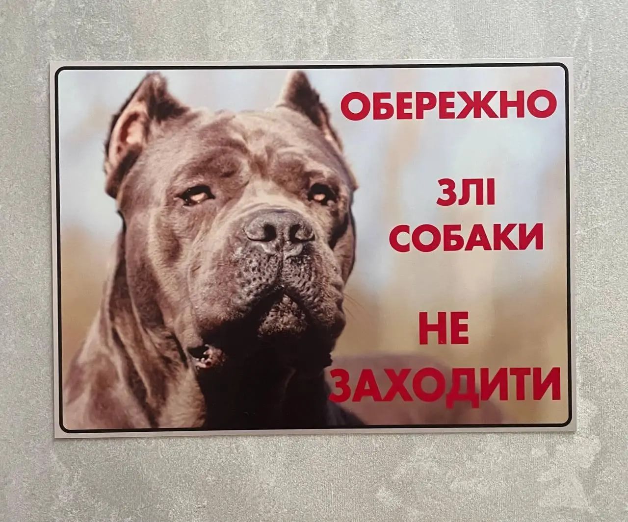 Предупреждение о собаках во дворе