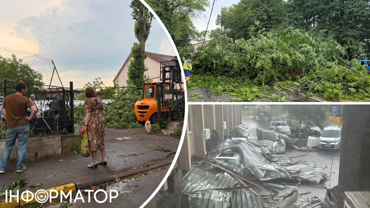 Шквалы и грозы ударили по западу Украины - во Львове повалены деревья и сорванная крыша