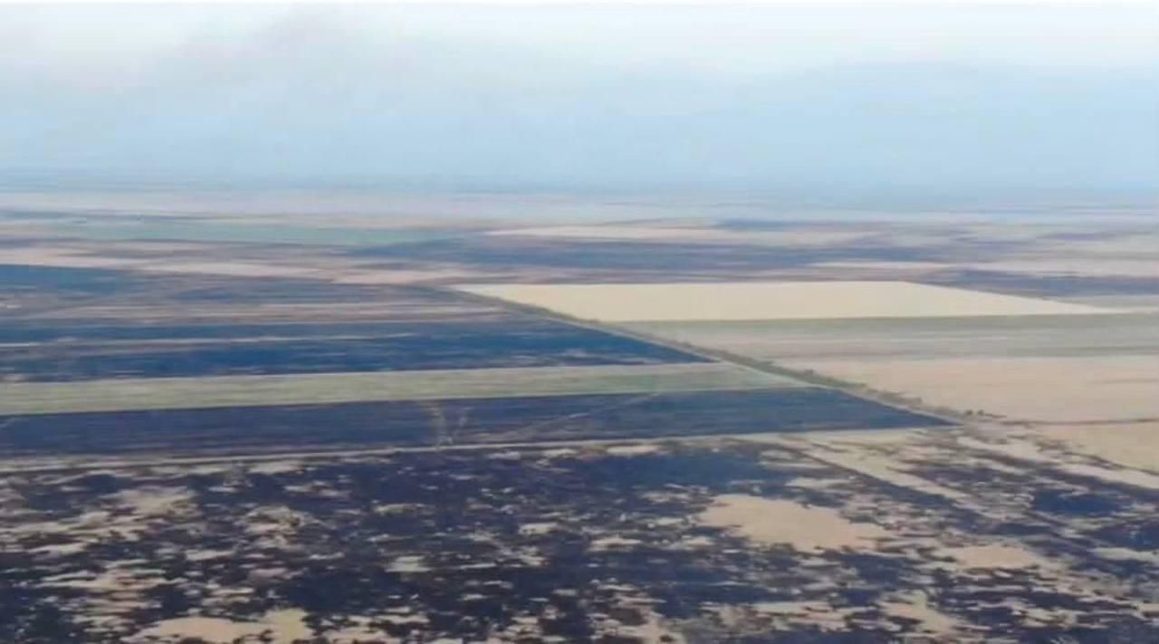 Випалені ворогом поля Херсонщини