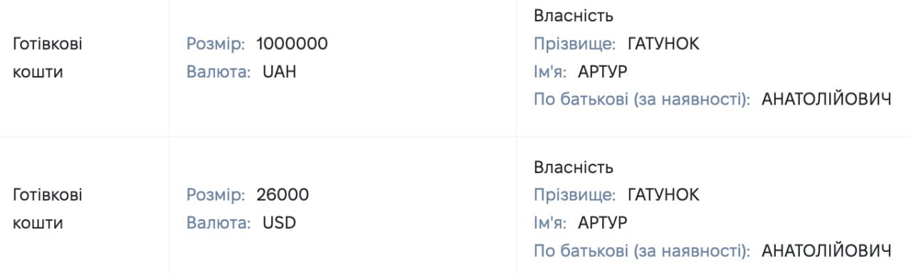 Скрины из декларации Сорта за 2019 год