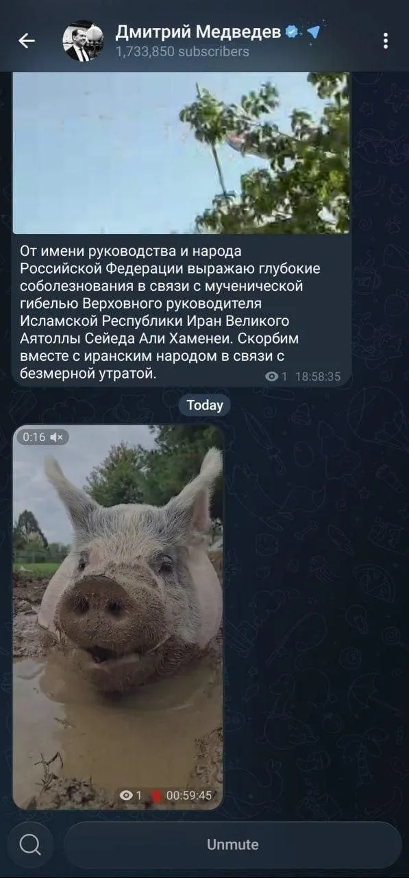 В Telegram-канале Медведева после публикации о похоронах Хаменеи внезапно появился ролик со свиньей 1