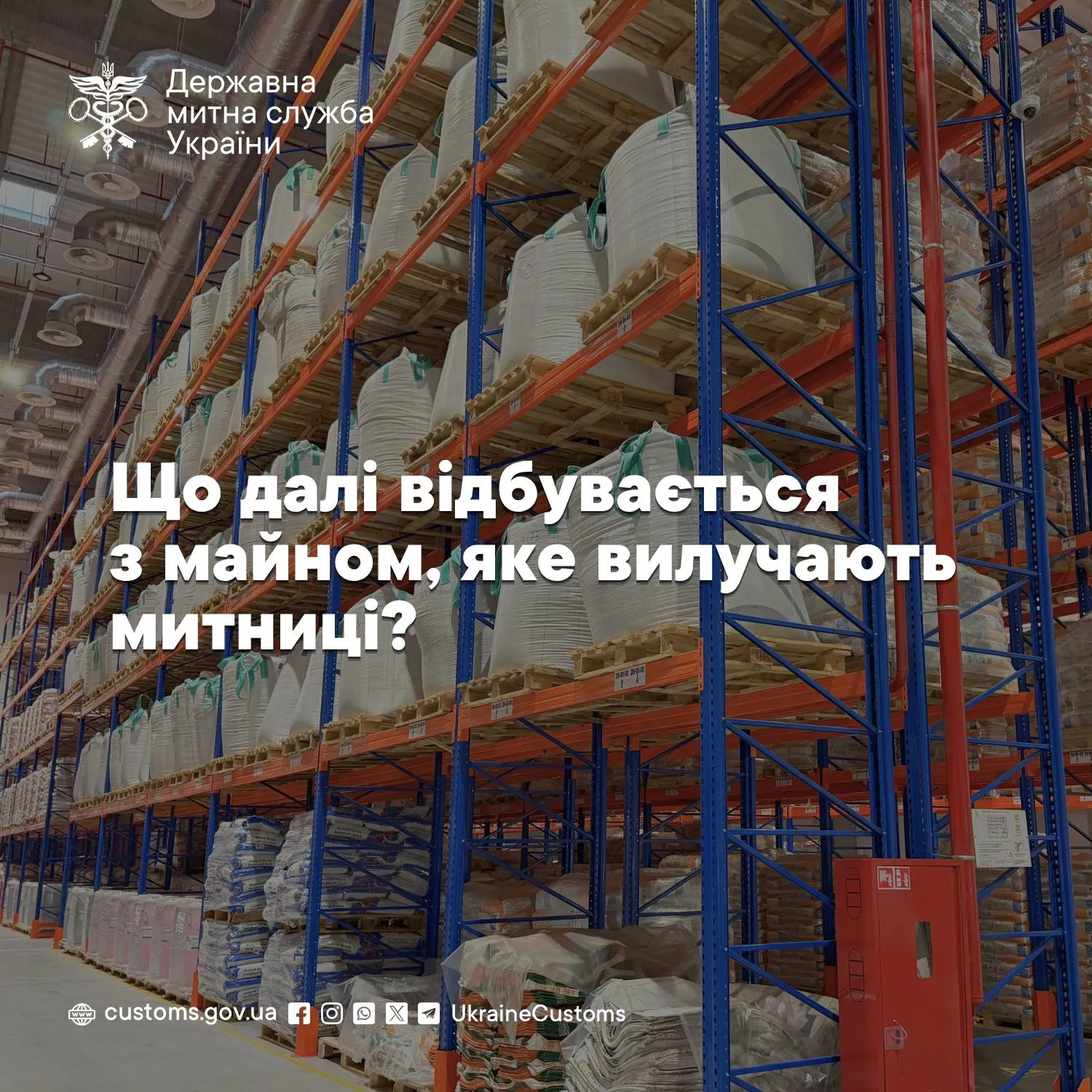 Фото: Государственная таможенная служба