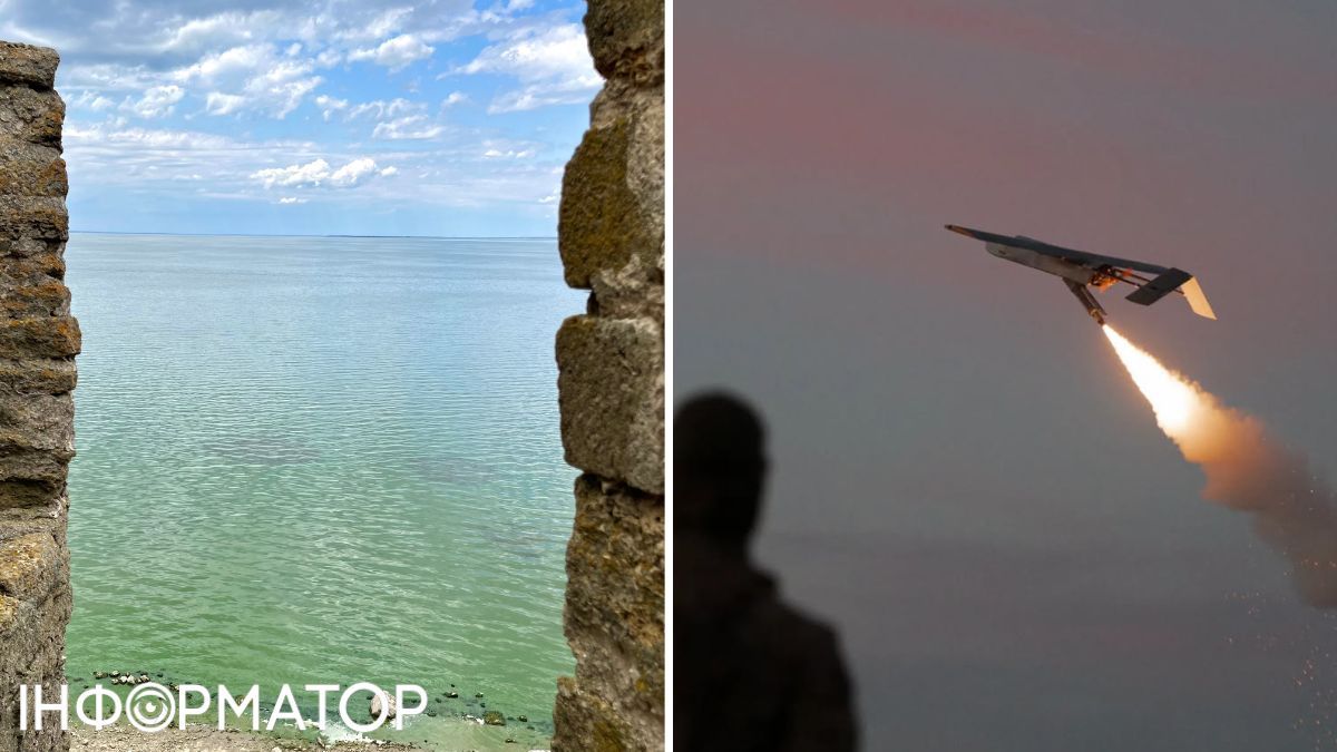 Азовське море дрони Фото: pexels.com, 414 Птахи Мадяра, колаж: Інформатор