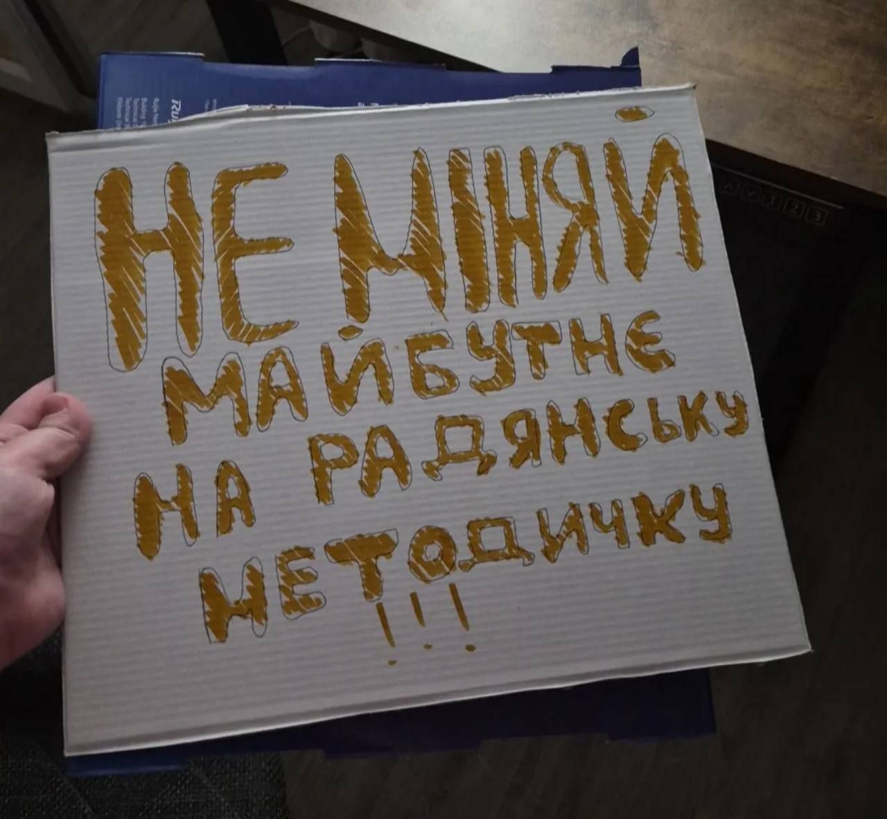 Картонки вже готові - по всій Україні пройдуть мітинги проти звільнення міністра оборони Федорова 1