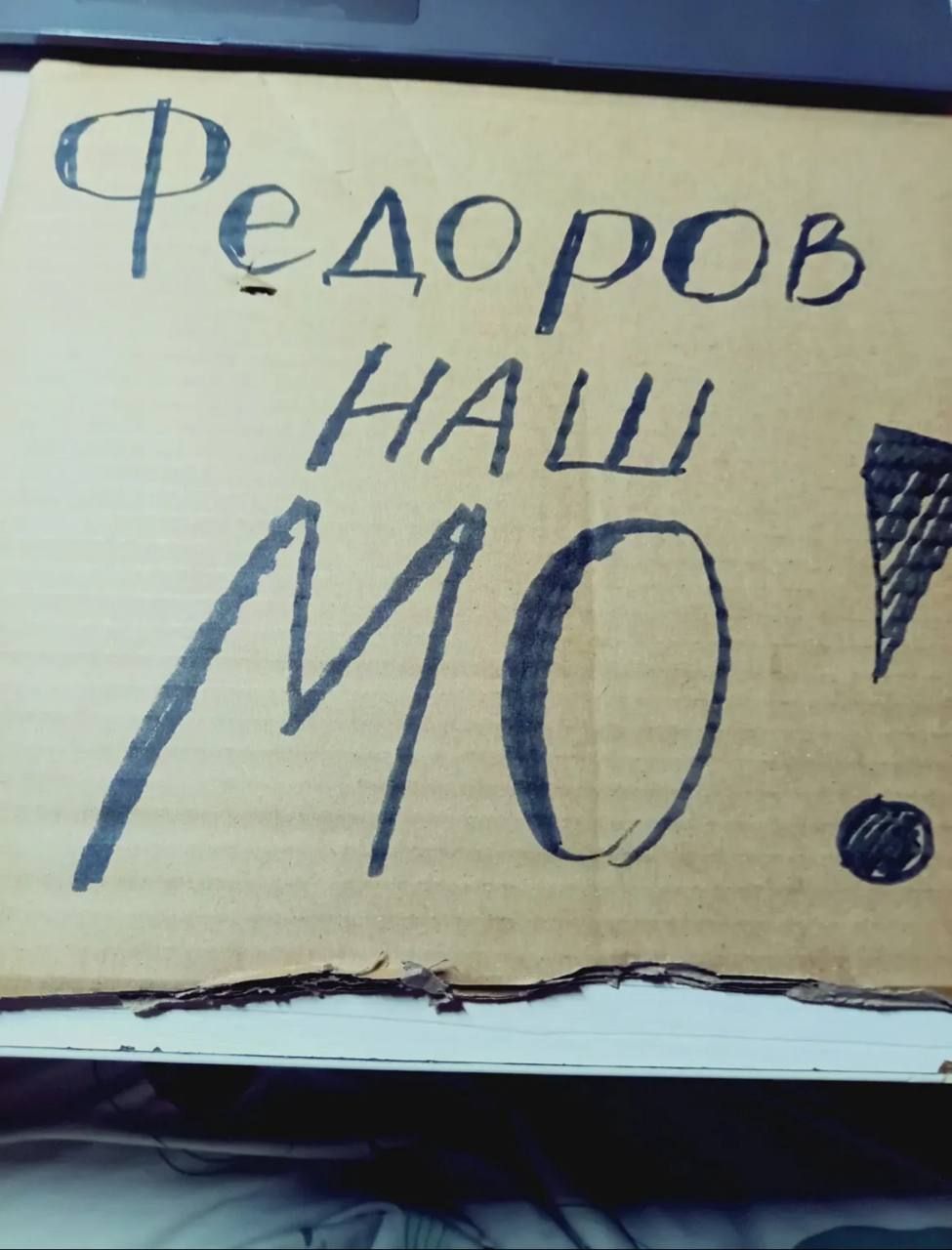 Картонки вже готові - по всій Україні пройдуть мітинги проти звільнення міністра оборони Федорова 2