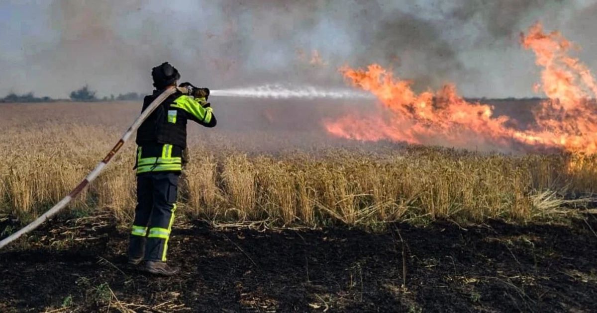 У липні через удари російських дронів на Херсонщини вигоріло 17 гектарів пшениці