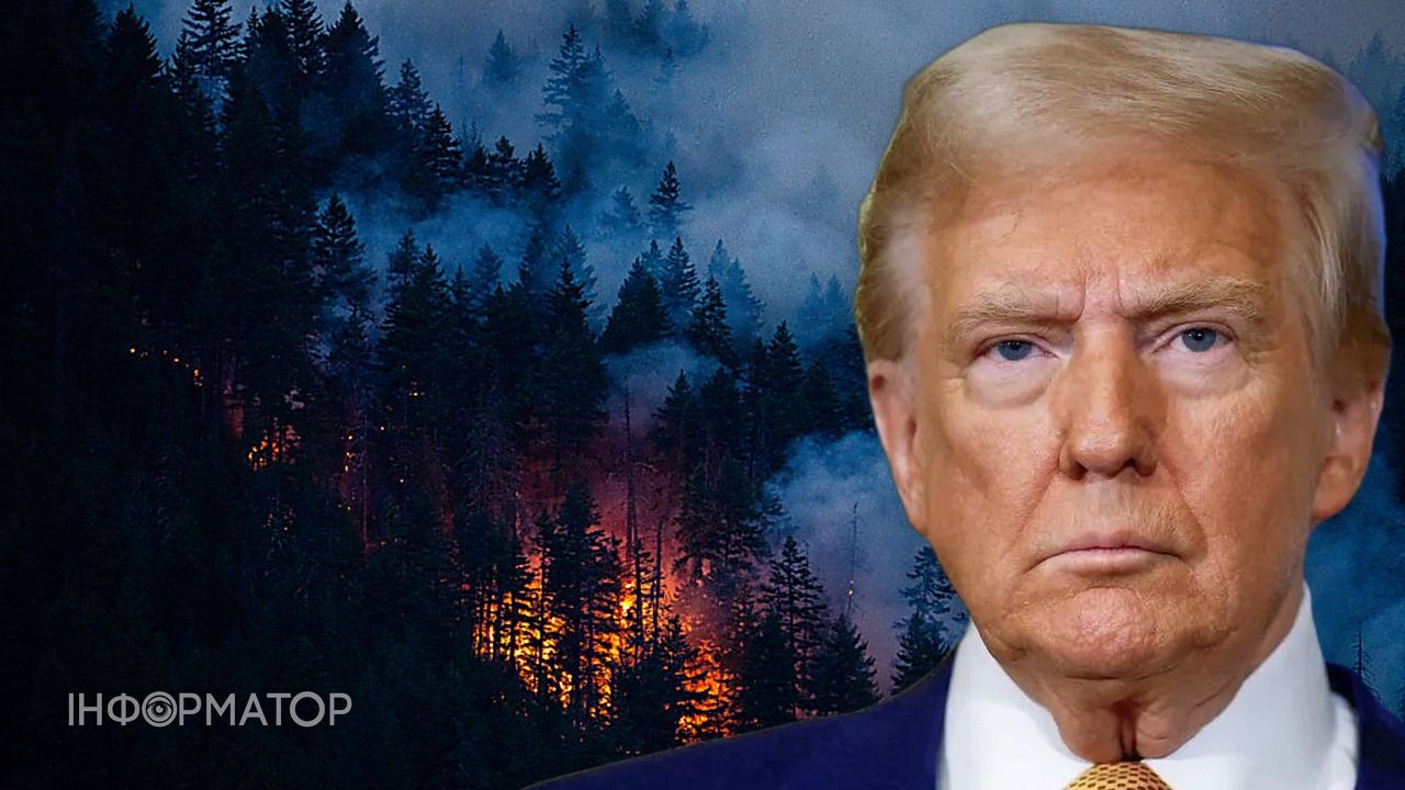Трамп звинуватив Канаду у лісових пожежах і погрожує новими митами