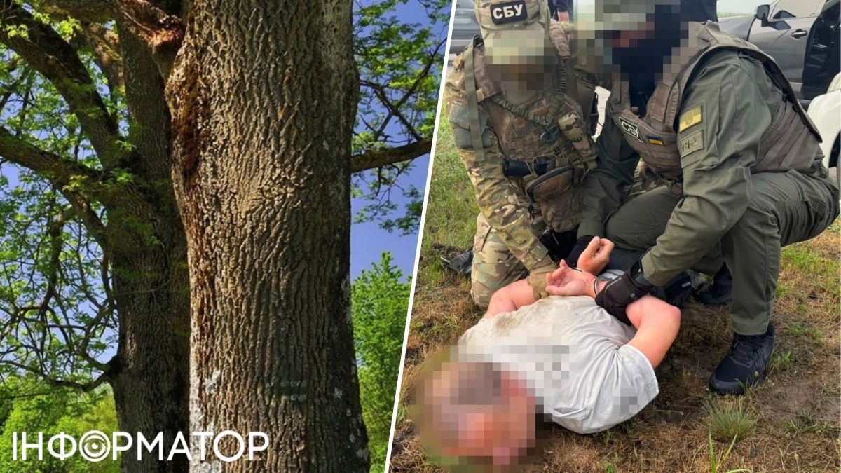 Агент ФСБ стежив за цілями на Харківщині через "відеопастки" на деревах - його затримала СБУ