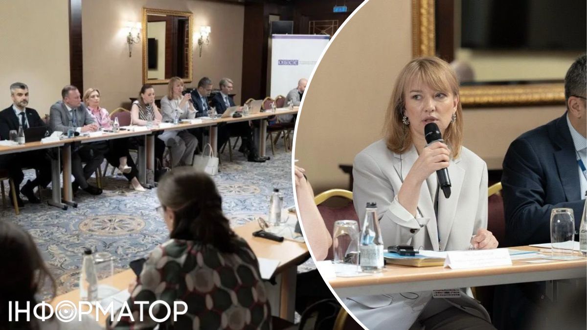 Рада готовит законодательную базу для послевоенных выборов – нардепка раскрыла главные вызовы